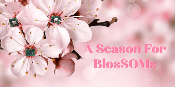 Newsletter – A Season For BlosSOMs