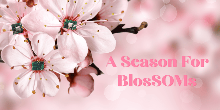 Newsletter – A Season For BlosSOMs