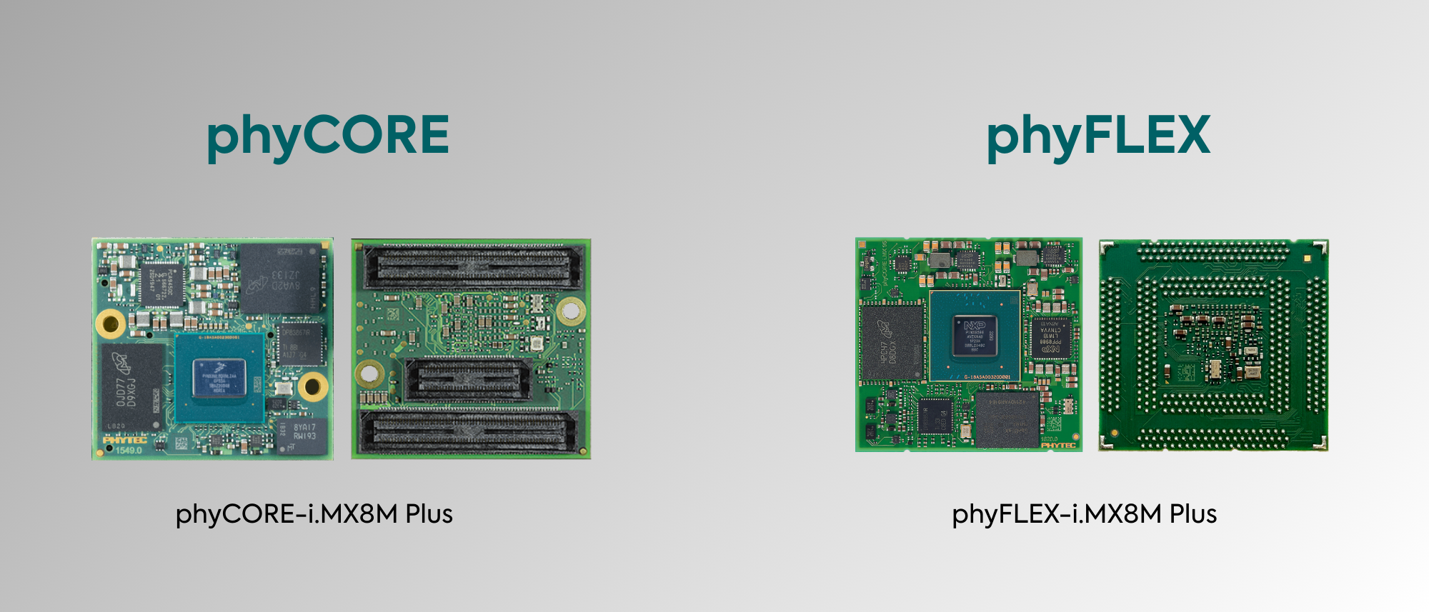 phyCORE-phyFLEX